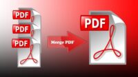 cara menyatukan file pdf Cara Menyatukan File PDF dengan Mudah, Bisa Lewat Hp