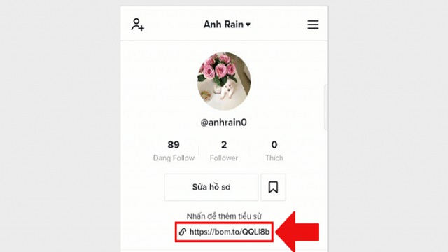Panduan Lengkap Cara Membuat Link di Bio TikTok