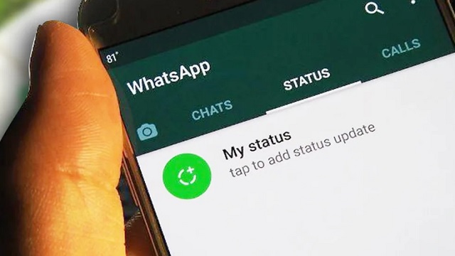 Kenapa Status WA Tidak Bisa Terkirim, Cari Tahu Solusinya disini