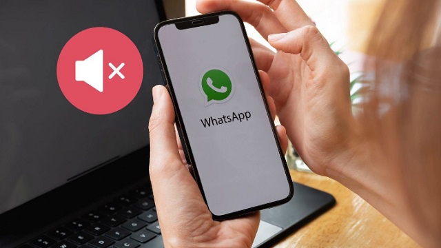 Panggilan Telepon WA Tidak Ada Suara, Ternyata Ini Penyebabnya