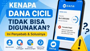 Kenapa DANA Cicil Tidak Bisa Digunakan? Ini Penyebab dan Solusinya