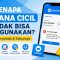 Kenapa DANA Cicil Tidak Bisa Digunakan? Ini Penyebab dan Solusinya