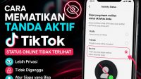 cara mematikan tanda aktif tiktok Cara Mematikan Tanda Aktif TikTok agar Status Online Tidak Terlihat